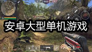 单机游戏探秘：快速上手的心得分享