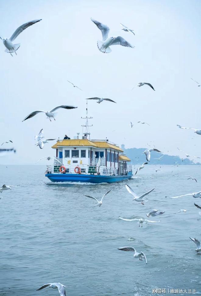 跟团去华东3天游玩攻略！专业指导不迷路体验更深度！