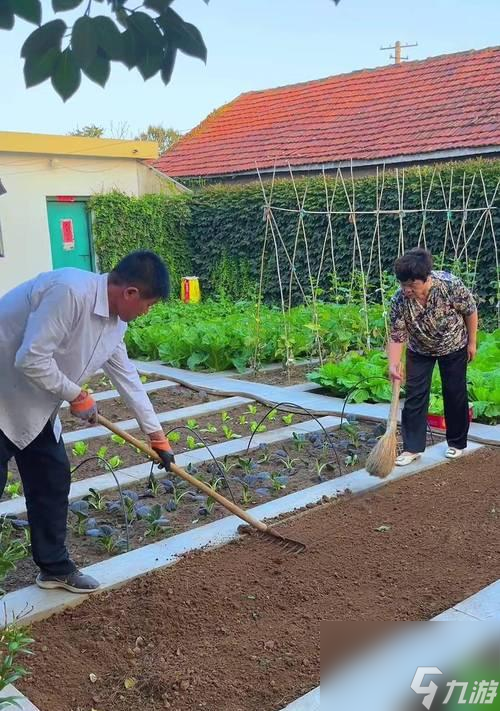 以全民农场怎么种菜的乐趣为主题的游戏攻略探索全民农场的农作乐趣(图2)